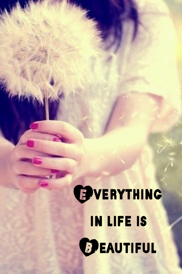 Everything 
in life is 
Beautiful ...don't forget it.