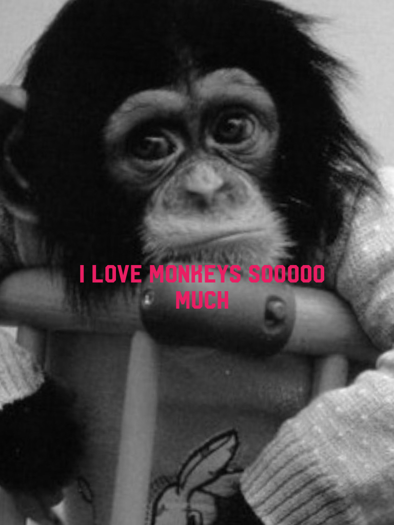 I love monkeys sooooo much
