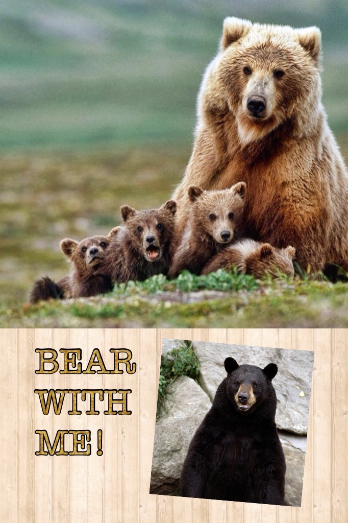 BEAR WITH ME! Love this Pic Collage