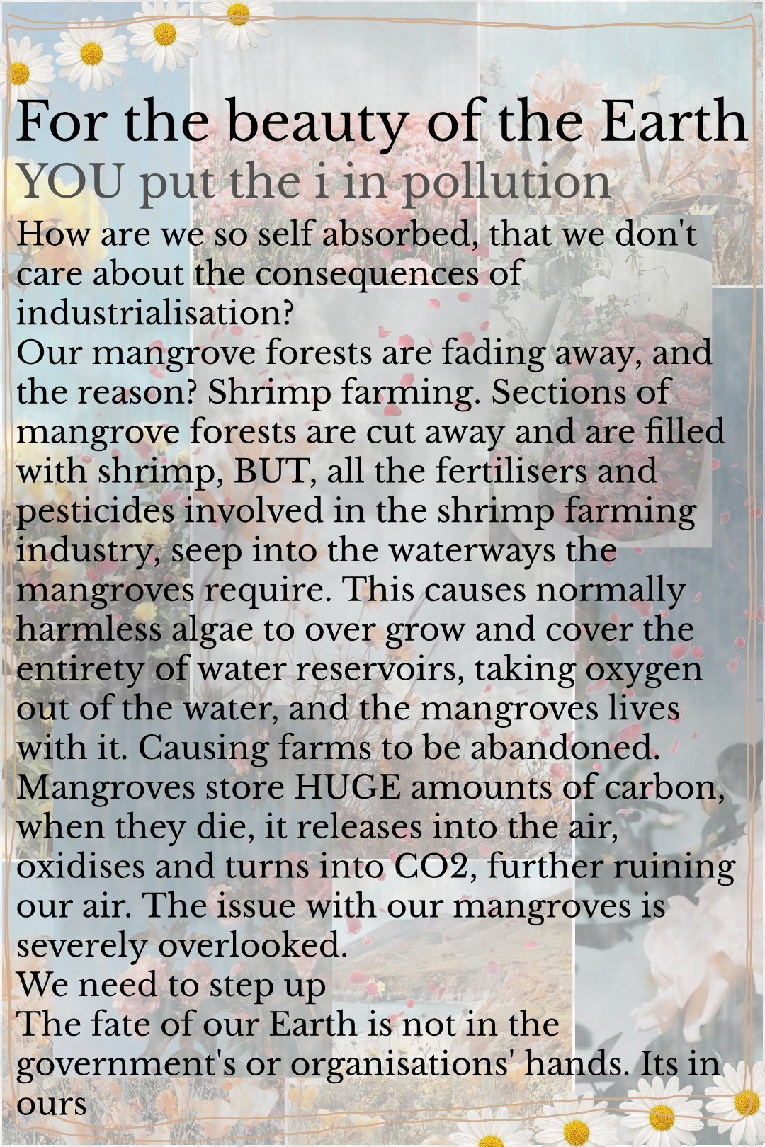 🌿Tap🌿 
Our mangroves are severely overlooked. Coastal mangroves are some of the most carbon rich and productive forests on Earth. We need to start sustainable farming - or none at all in mangrove growing areas! 
26/8