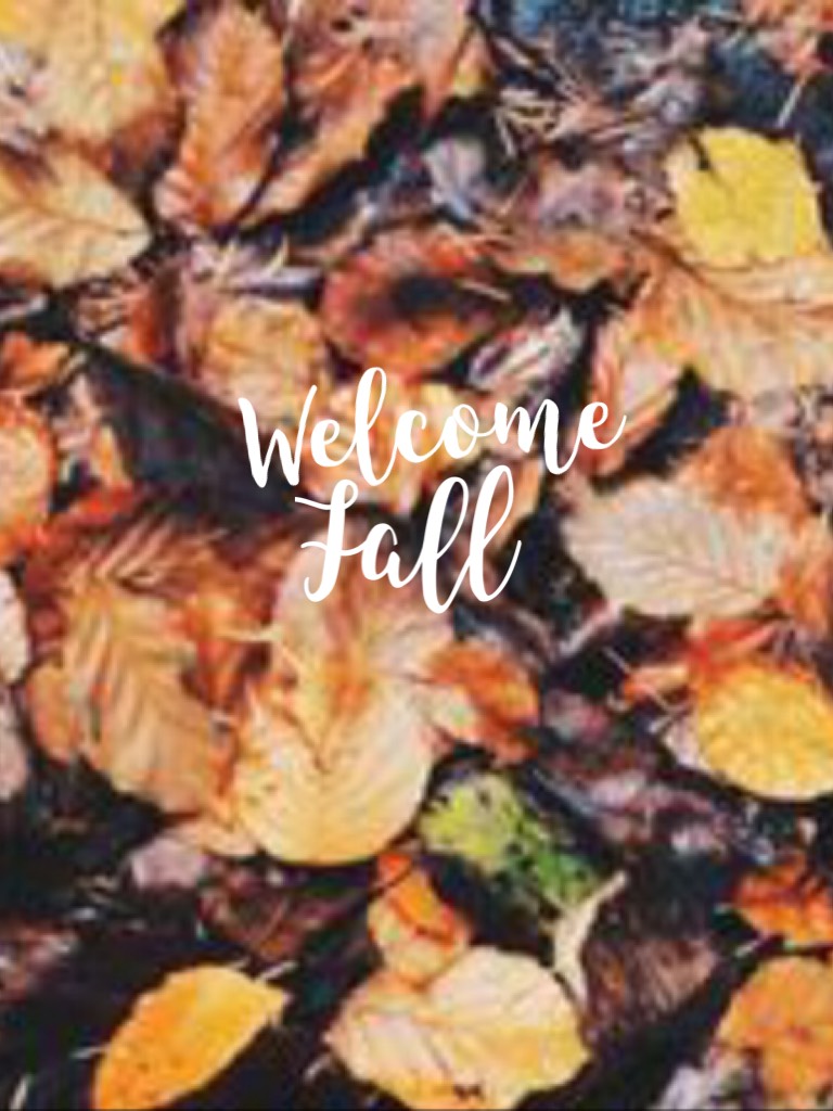 Yay!! Fall is here! 🍁