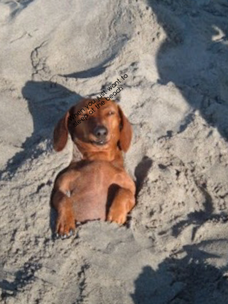 When you just want to sleep at the beach
