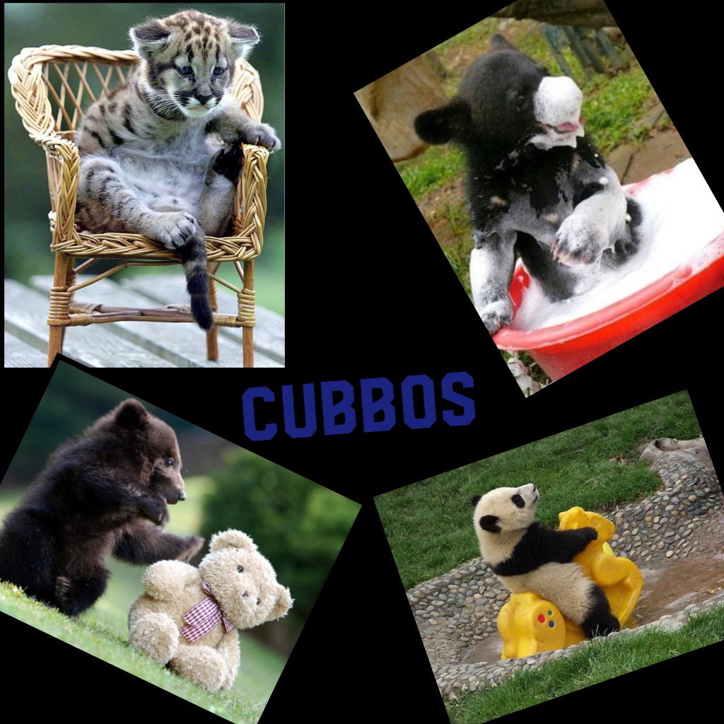 Cubbos