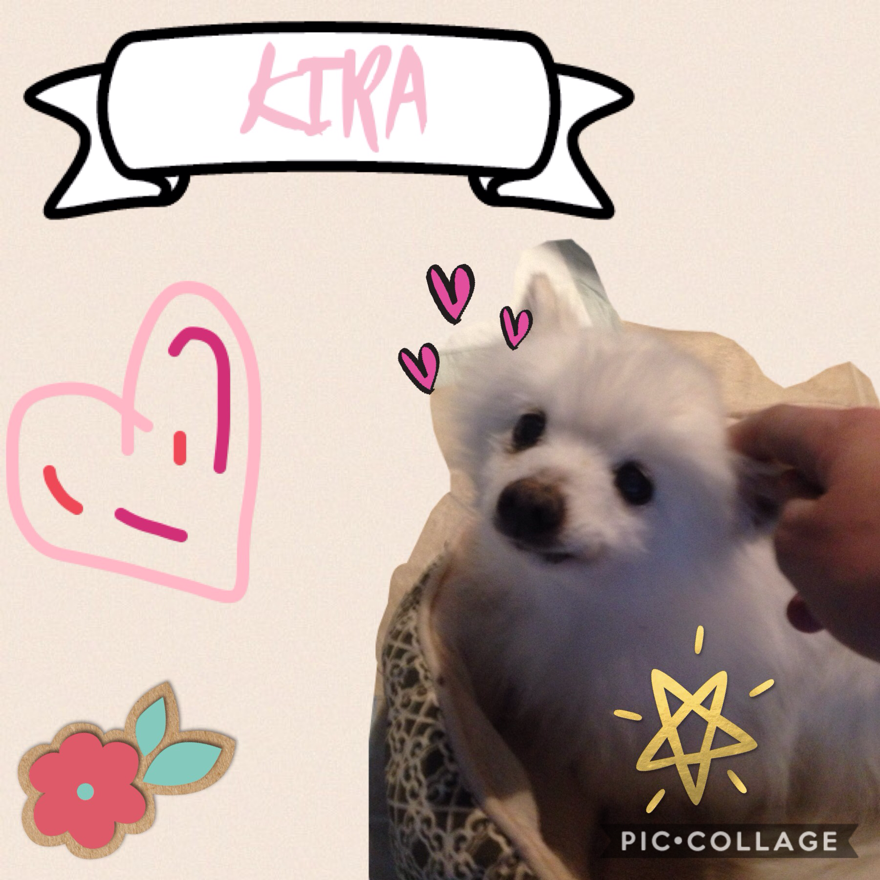 ⭐️Kira⭐️ forever and always ♥️ 