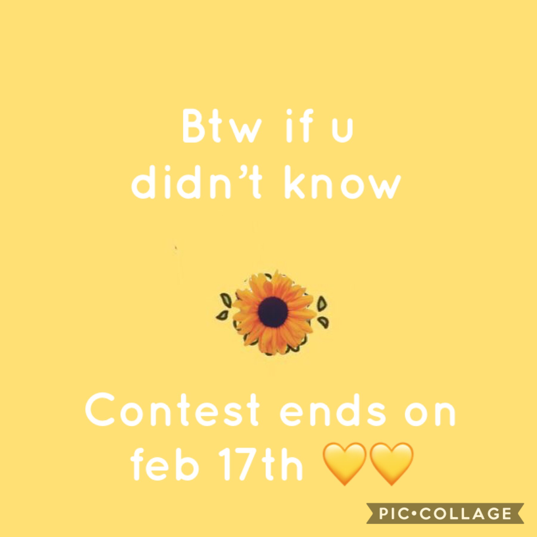 Contest ends on February 17th 💛💛