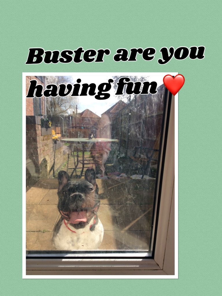 Buster are you having fun ❤️
