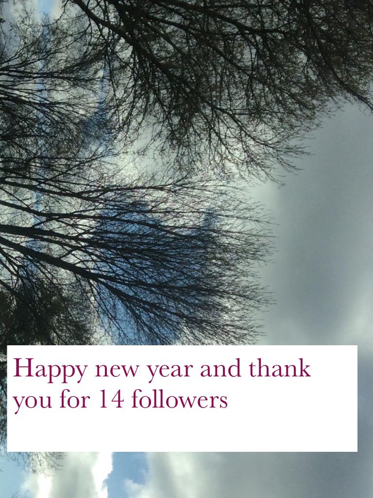 Happy new year and thank you for 14 followers
