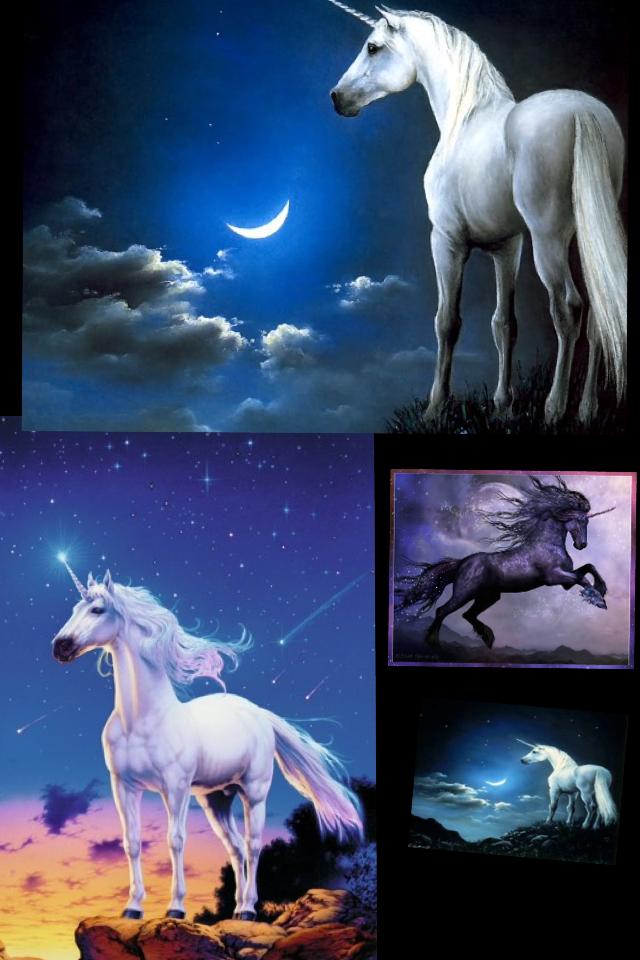 Tell me who loves unicorns I love them so much