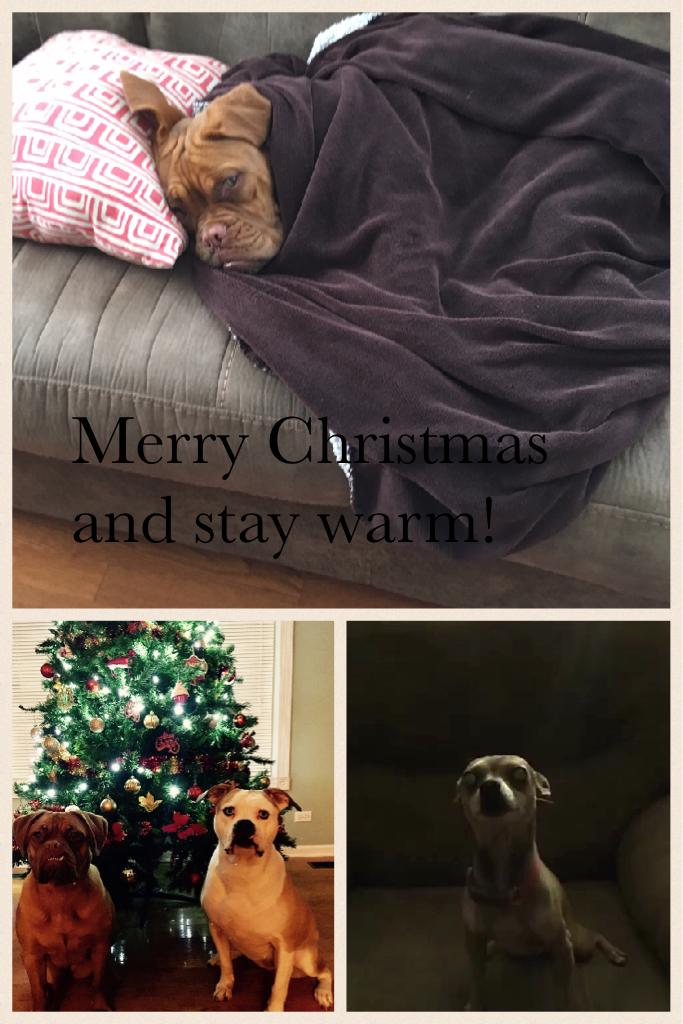 Merry Christmas and stay warm!