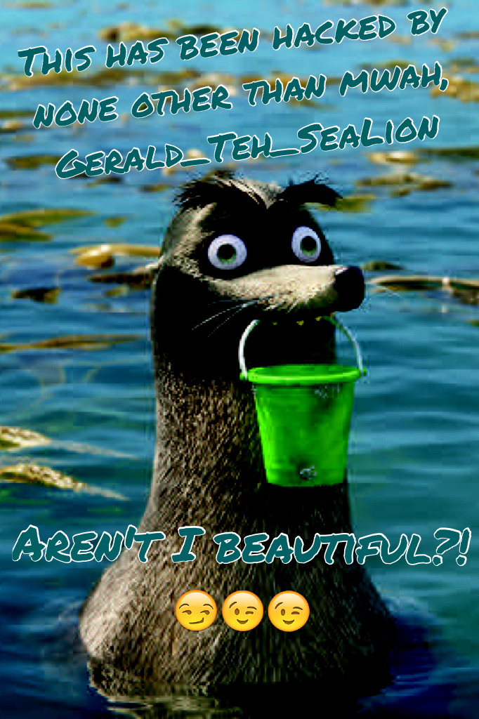 Gerald_Teh_SeaLion out!!!! *dives back into the water with bucket*