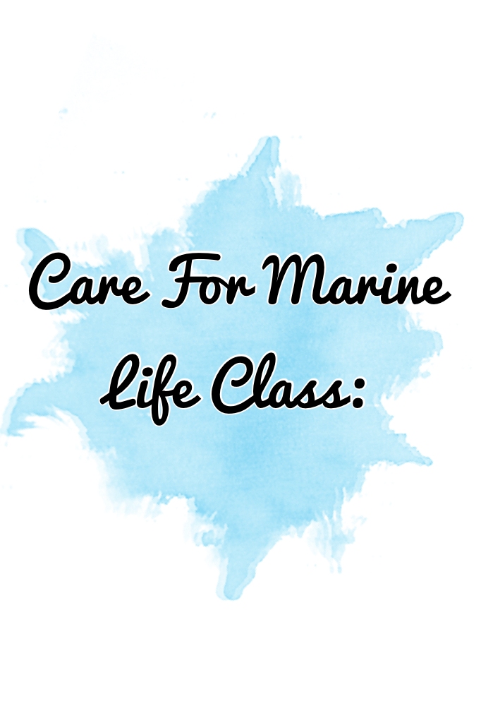 Care For Marine Life Class: 