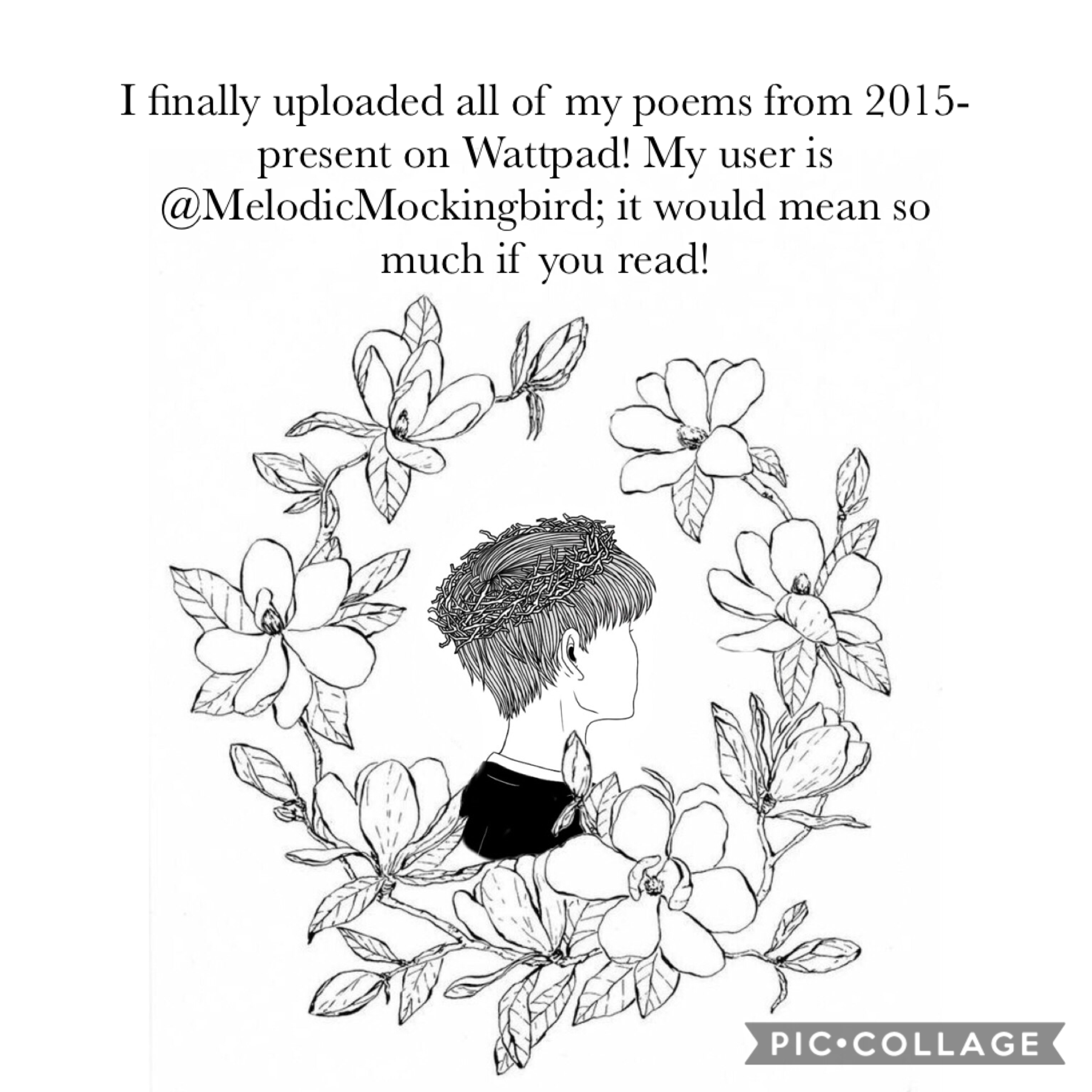 There’s a lot of parts but many are short poems. I hope y’all enjoy! If y’all have watt pads I’d love to follow and read; comment them below! 