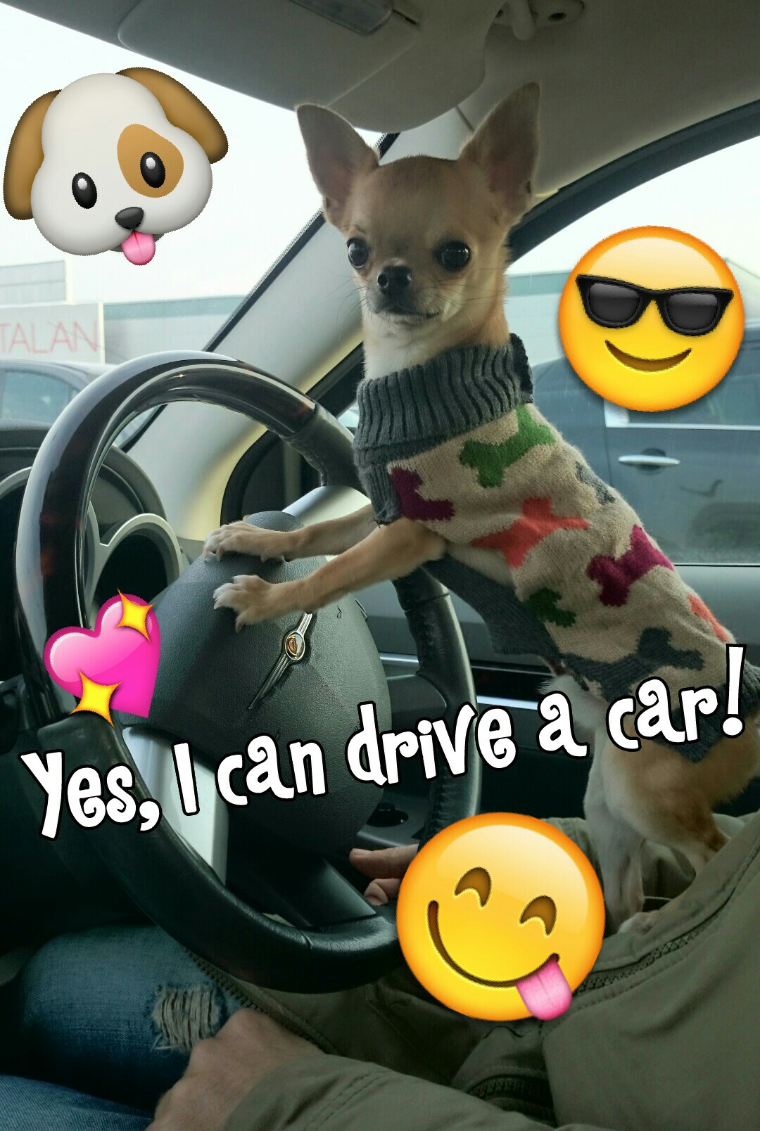 Yes, I can drive a car!