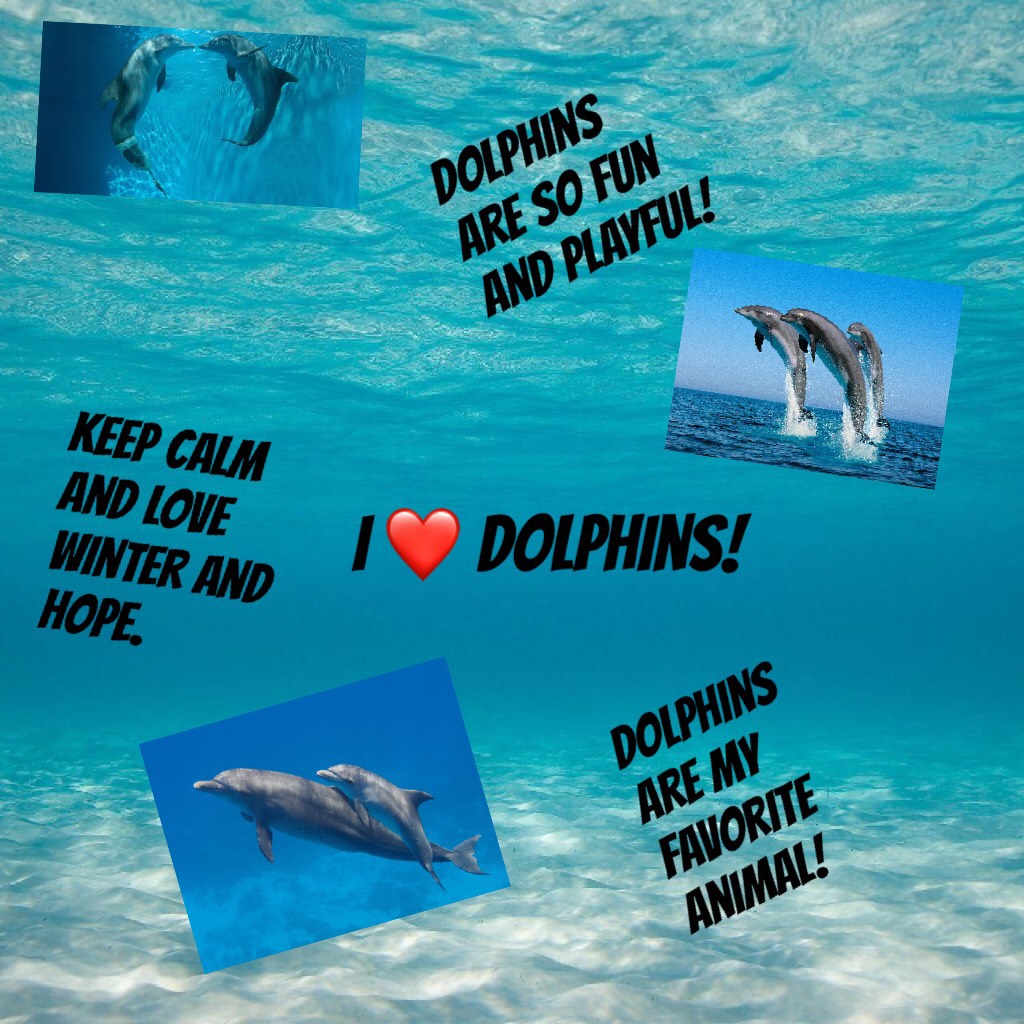 I ❤️ dolphins!