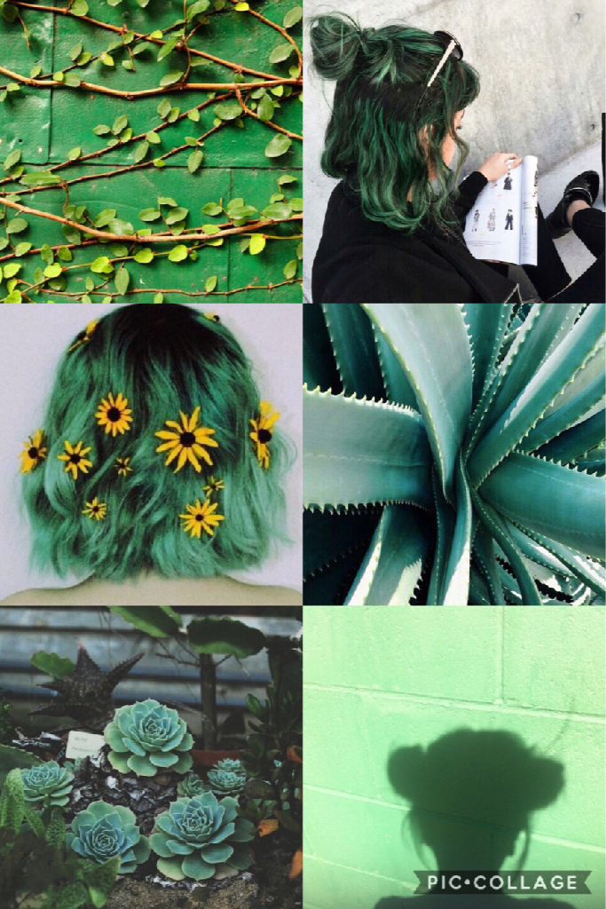 Tap



GREEN AESTHETIC!! I probably like this one the best out of the ones I've posted. My fave ones (pink and black) will be posted at the end. Love you guys. ESPECIALLY my boo and she knows who she is 