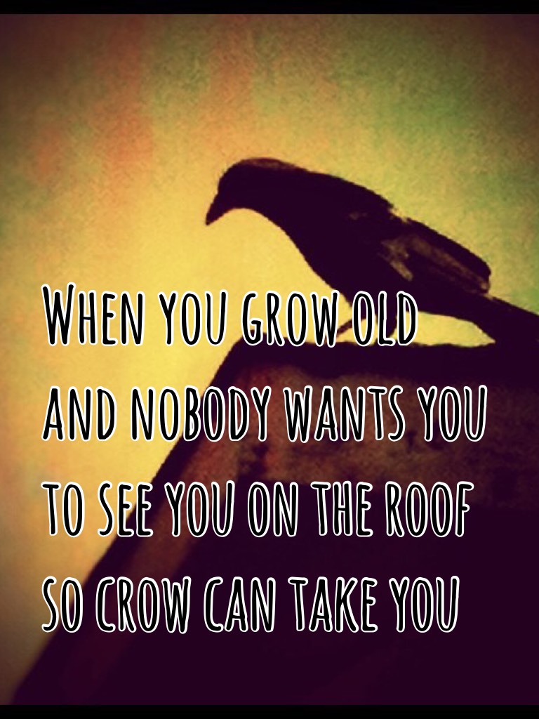 When you grow old and nobody wants you to see you on the roof so crow can take you♡