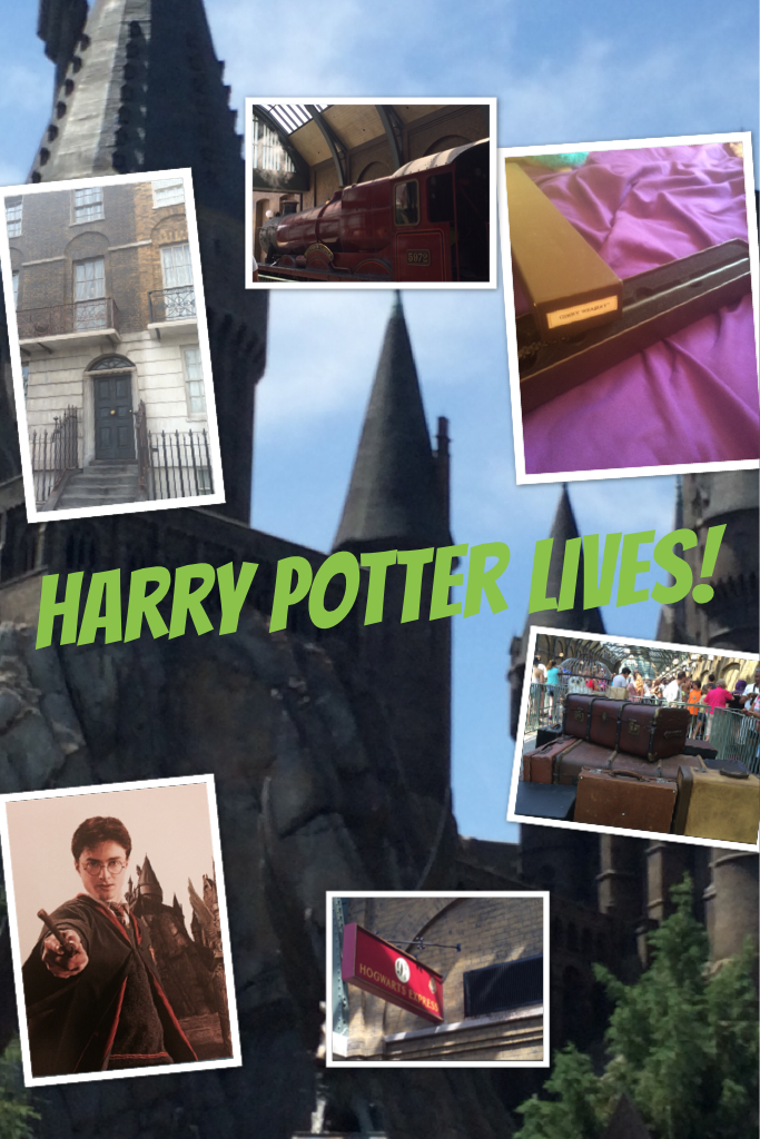 Harry Potter Lives!