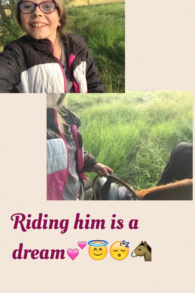 Riding him is a dream💕😇😴🐴