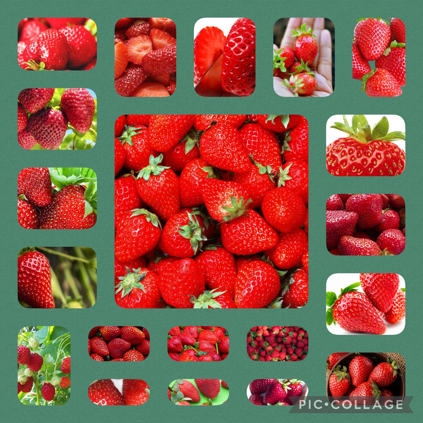 Like this post if you like to eat strawberries! 🍓🍓🍓🍓 