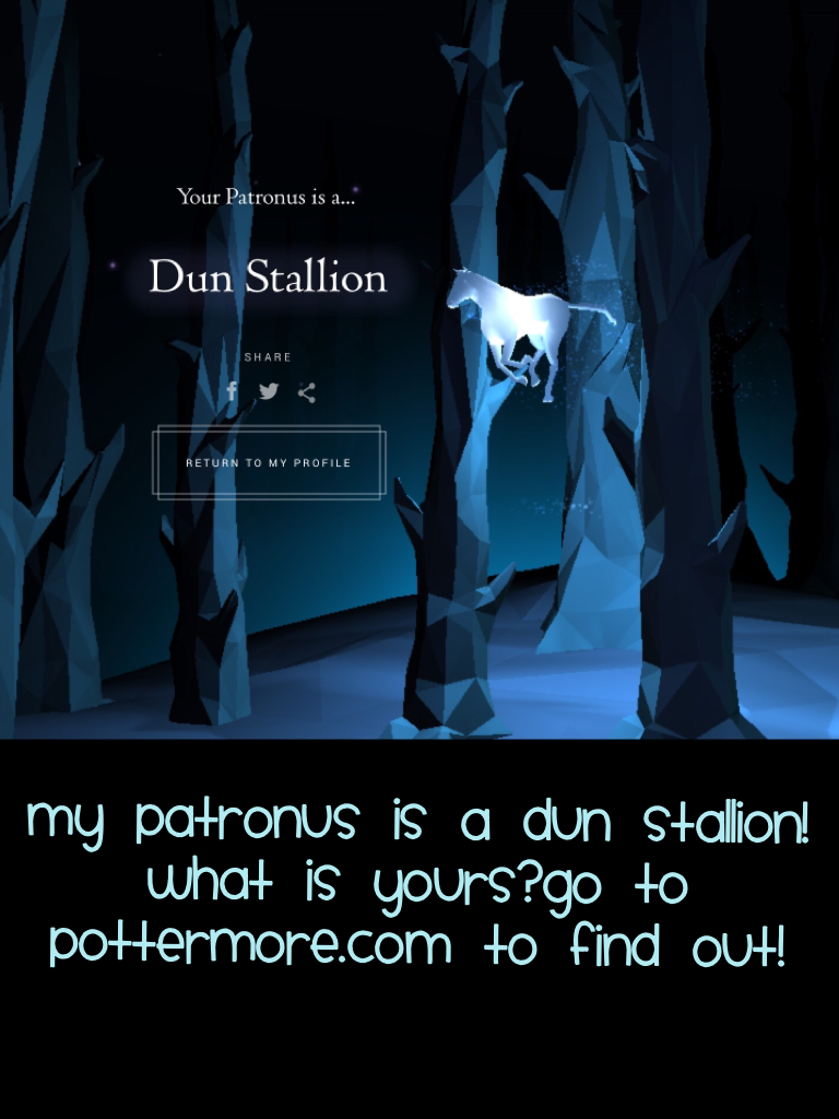 Go to Pottermore.com to find out!