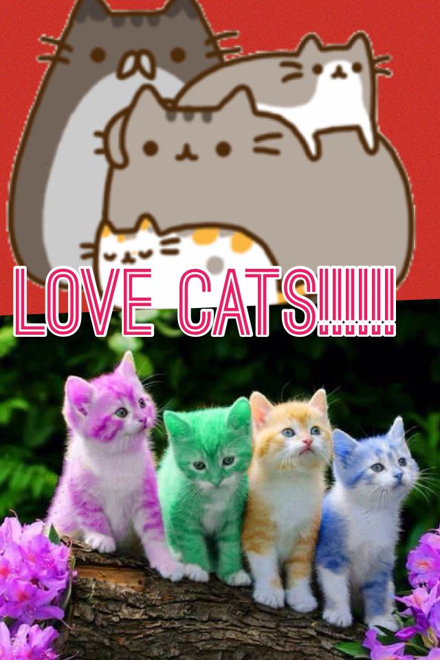 I Love cats!!!!!!