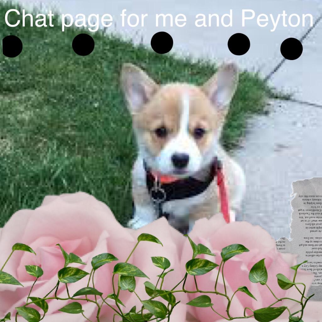 Chat page for me and Peyton