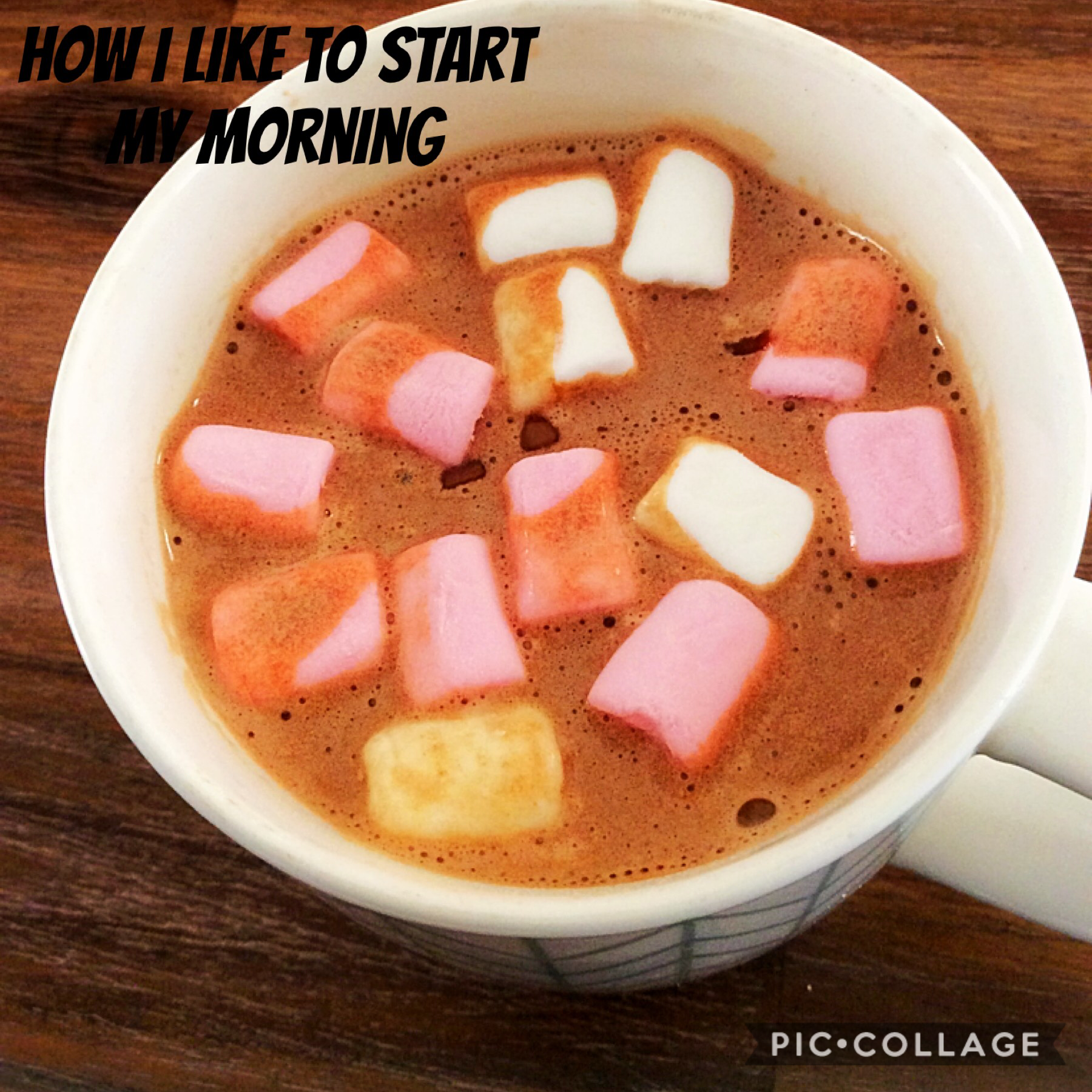 Hot chocolate with extra whipped cream and double marshmallows