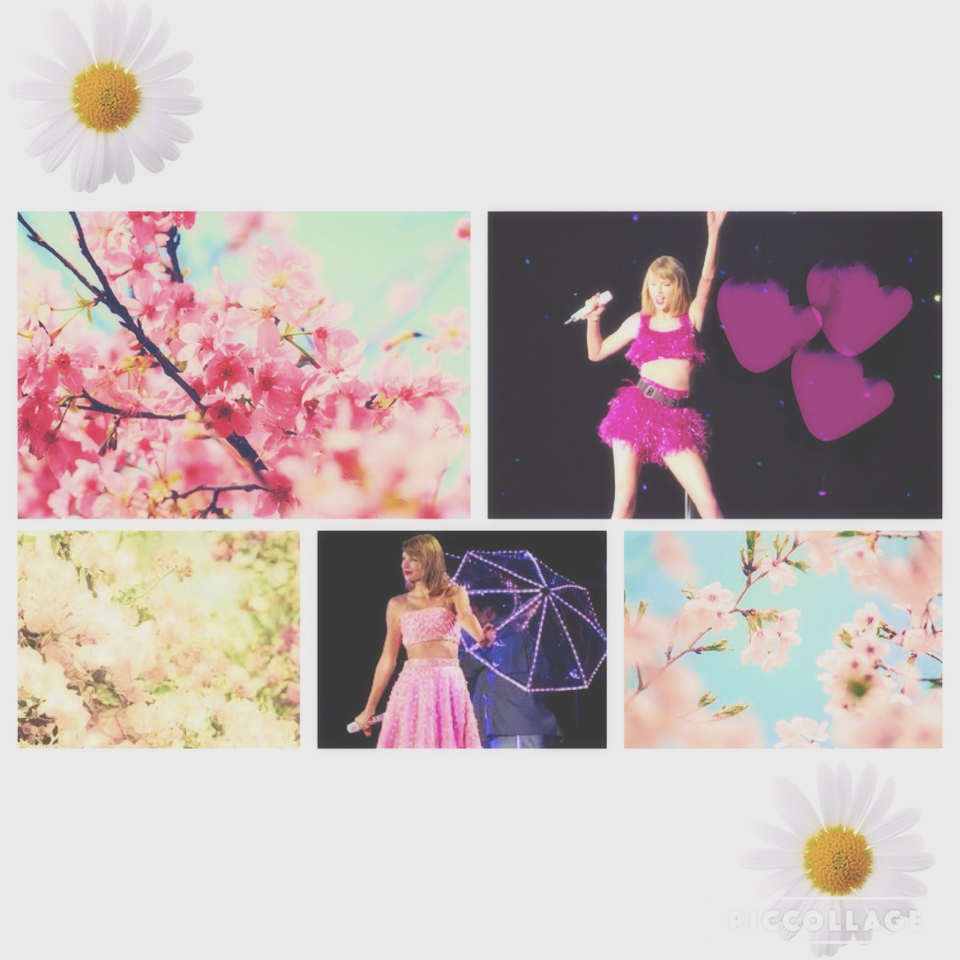 Collage by -SWIFTIEIQAH-