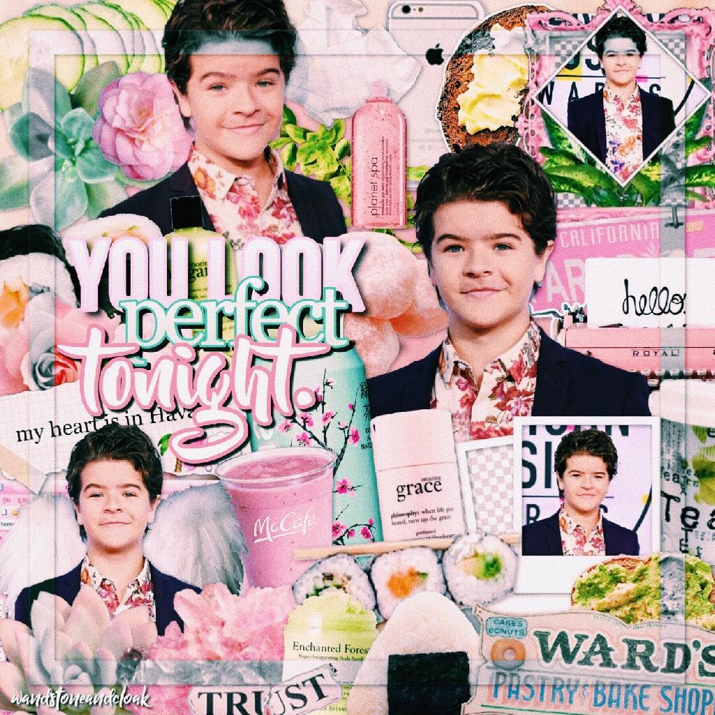 🌸click!:🌸
aweeee i love gaten with all my heart!! hes such a good actor and i really want to see more of him! dustin is by far one of the best characters too!
q//ST character thats most like you?
a//dustin! 💓