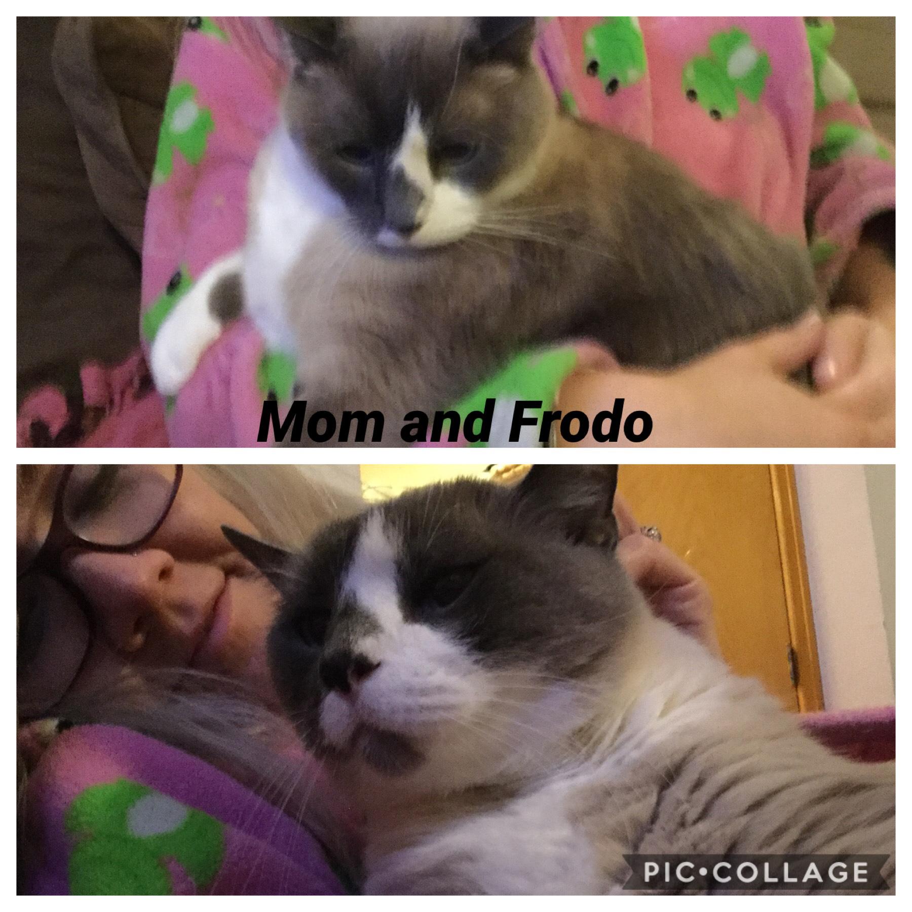 Mom and Frodo he’s very grumpy sometimes.😊🤨