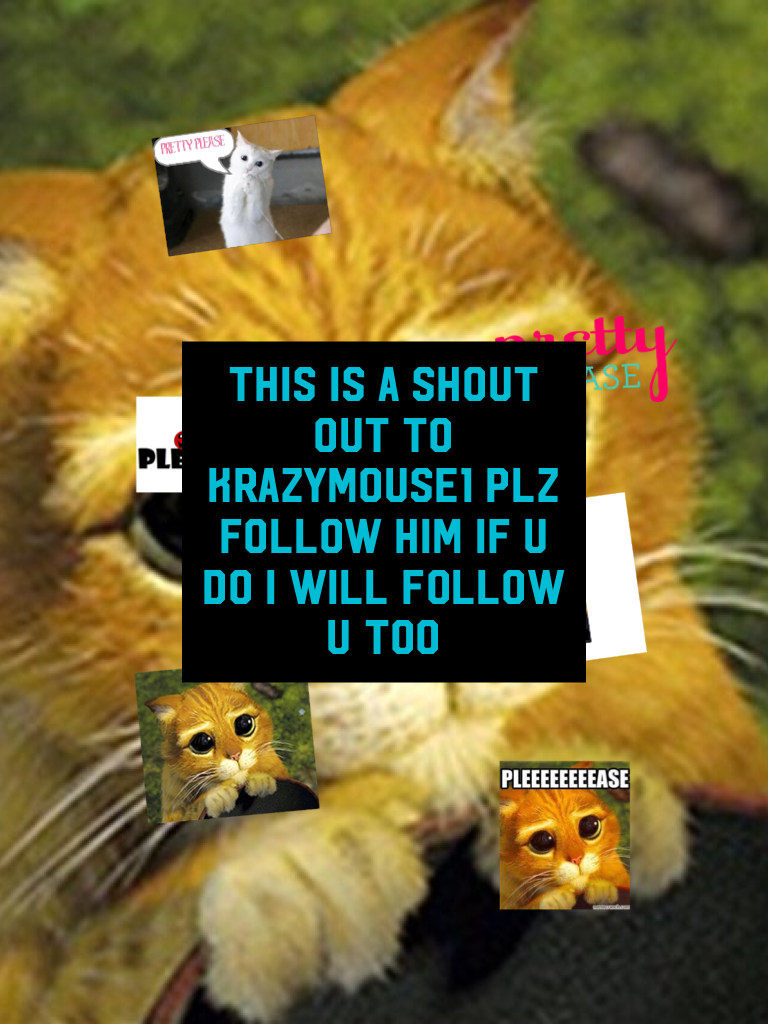 This is a shout out to krazymouse1 plz follow him if u do i will follow u too