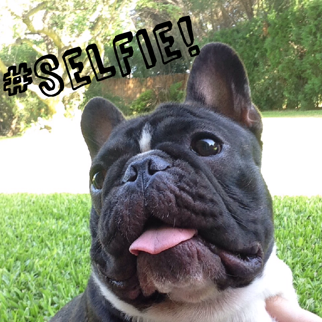 #Selfie!