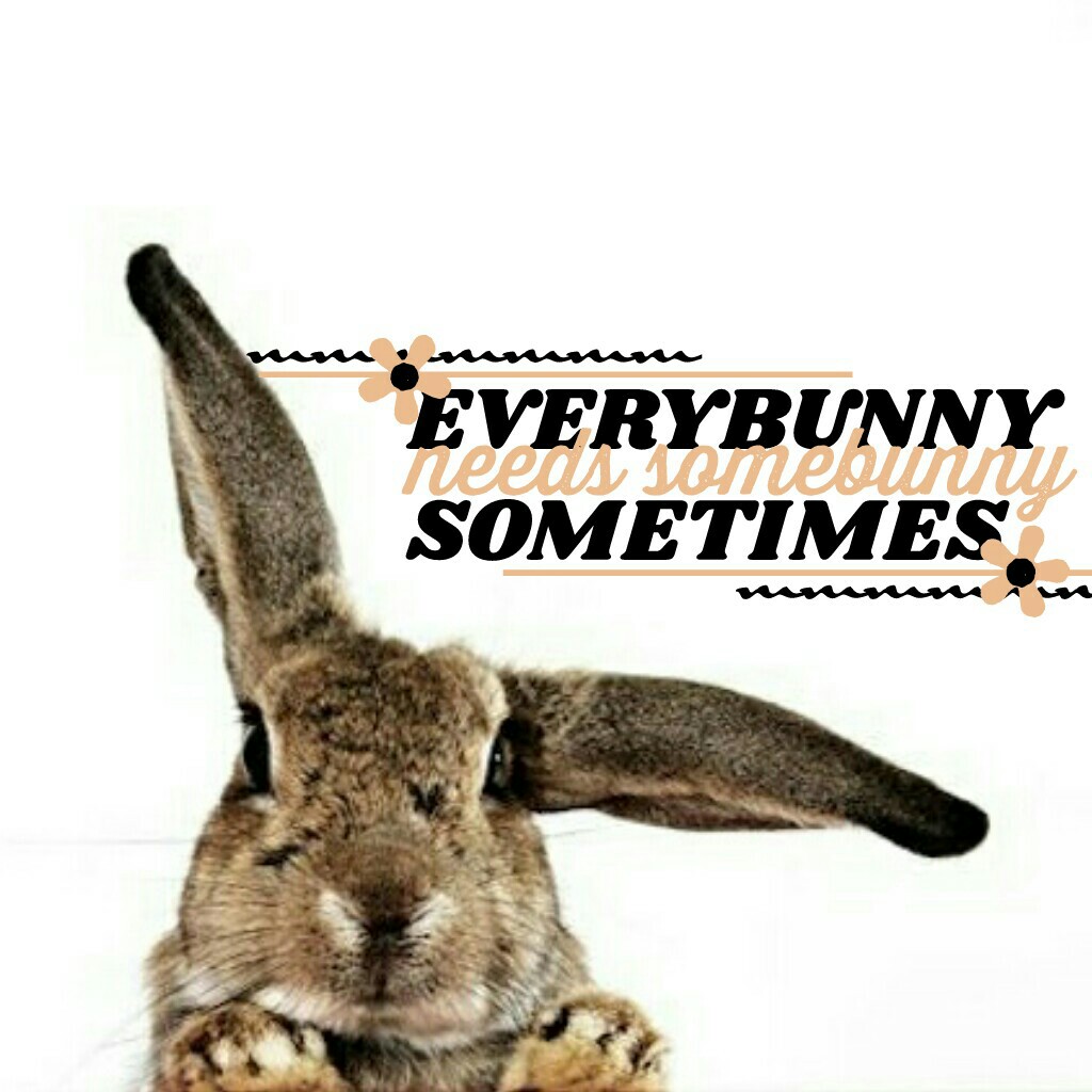 QOTD: If you had a bunny, what would you name it? AOTD: Bun-bun 😋