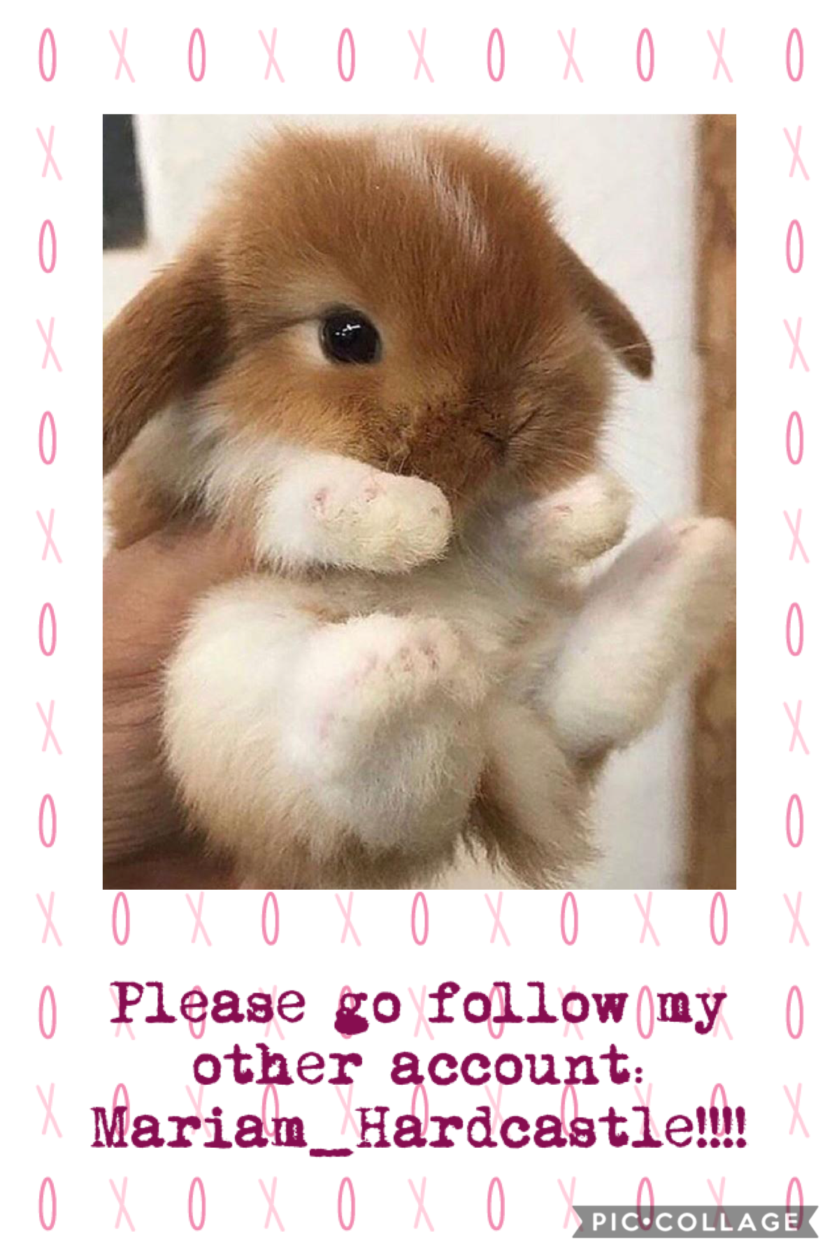 Please follow!!!!!