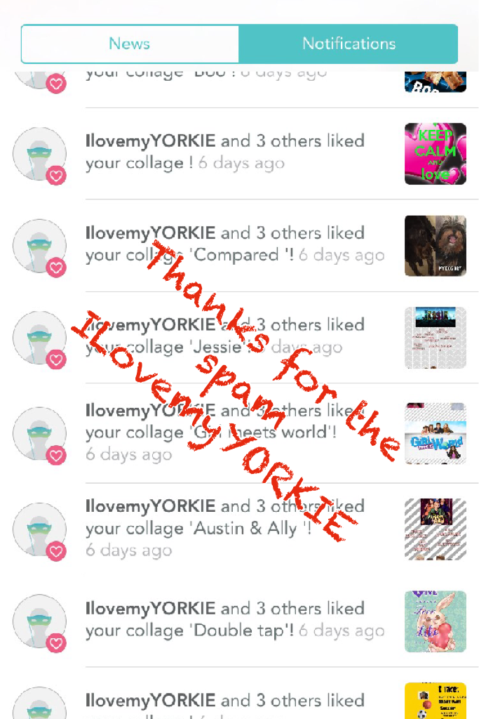 Thanks for the spam ILovemyYORKIE