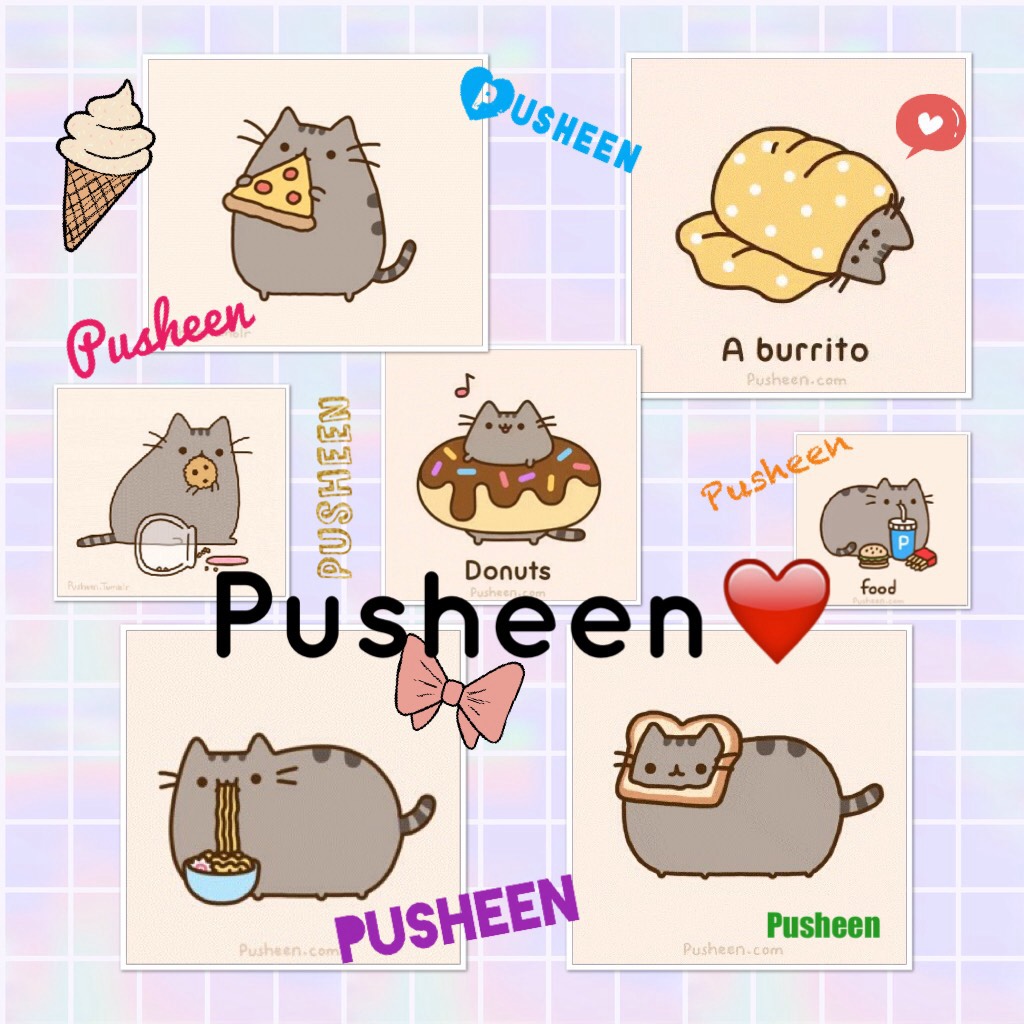 Pusheen❤️ comment if u love Pusheen ;3