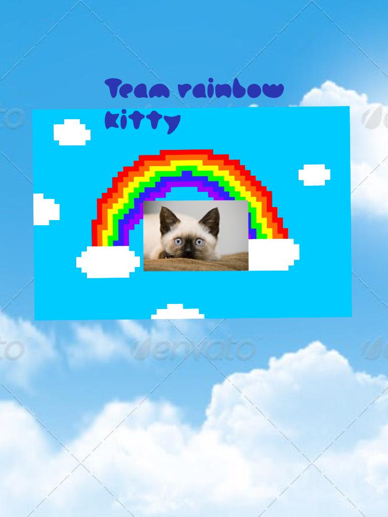 Team rainbow  kitty 