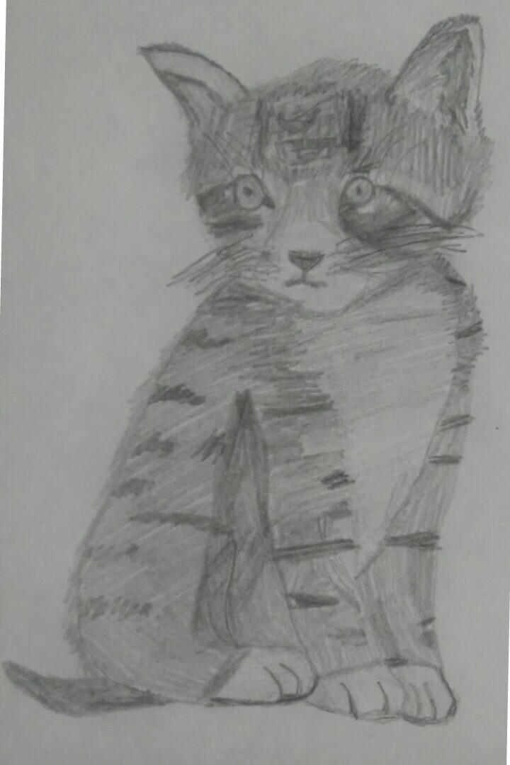 I'm bored and i drew a cat