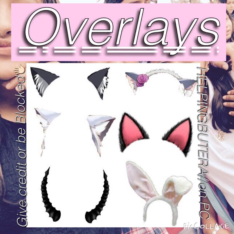 Cat eats💞my co-owners never post😳😫😰I'm still taking request though🎉✨and working on an tutorial for u guys💗//Daya