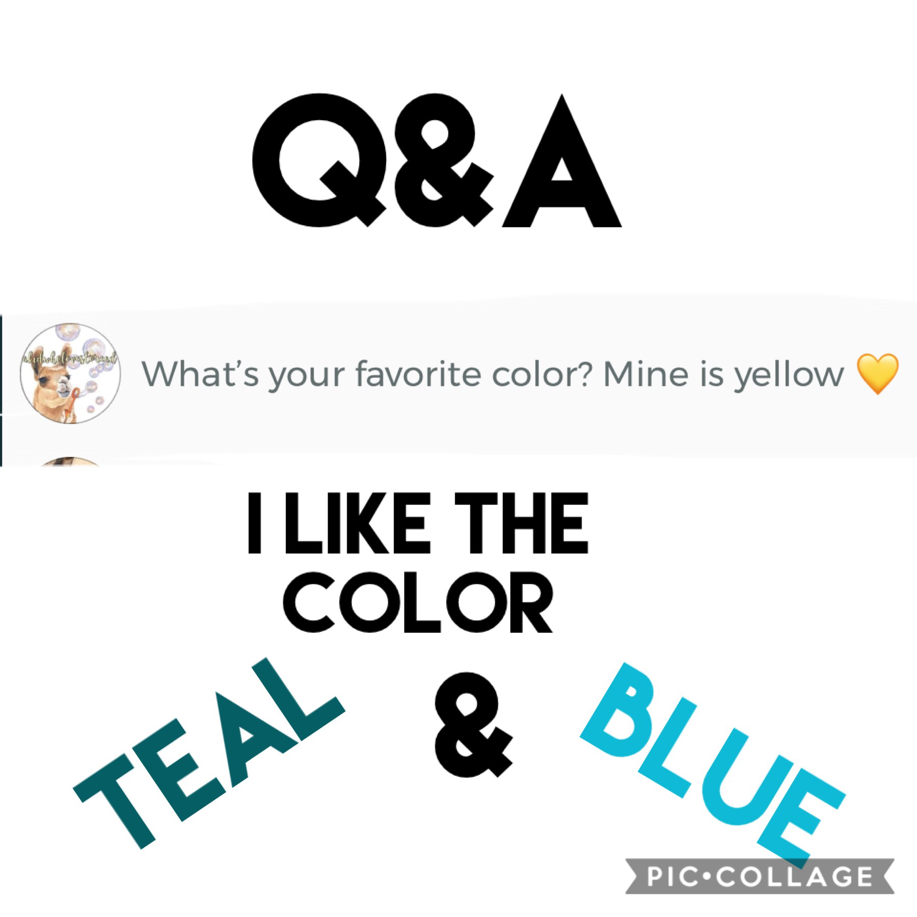 What’s your favorite color?!?!??
