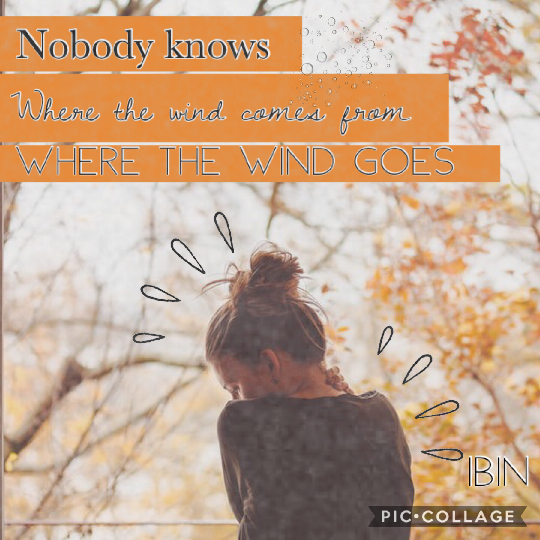🍁tap🍁
Quote from a song our Kodály Choir sung last year.
🍁🍁🍁🍁🍁🍁🍁🍁🍁
Qotd: Should I do themes?

