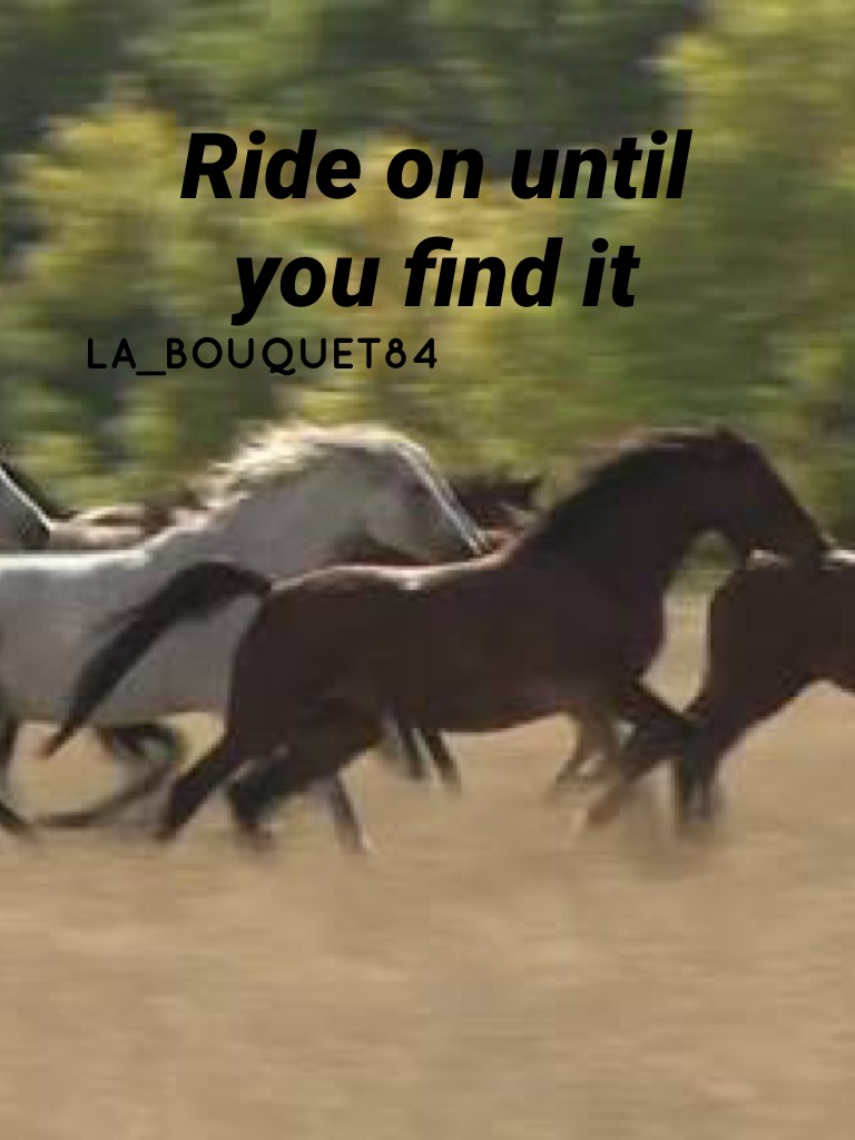 Ride on until you find it