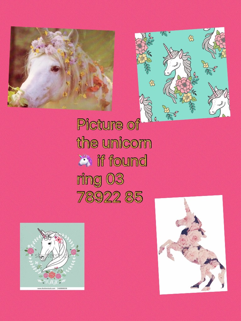Picture of the unicorn 🦄 if found ring 03 78922 85 