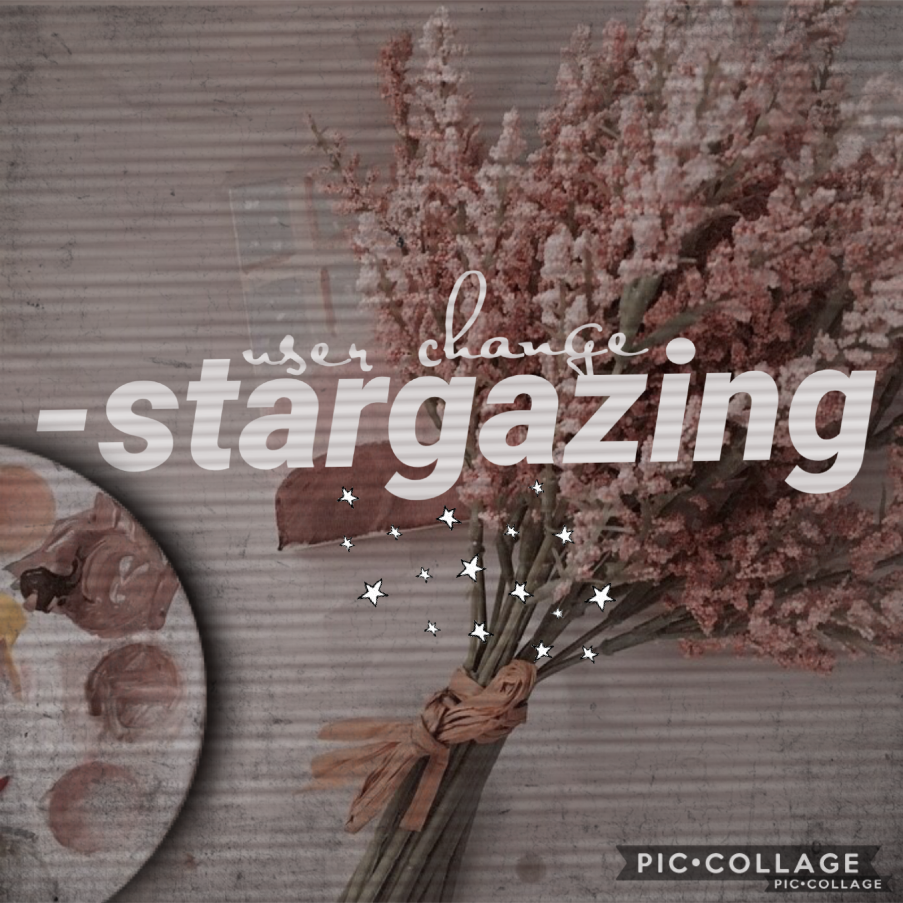 💫tap💫
That’s right folks!💫 cing124 is OVER!💫 From now on, she will be known as -stargazing!💫 Hope y’all like the new user!💫 -stargazing