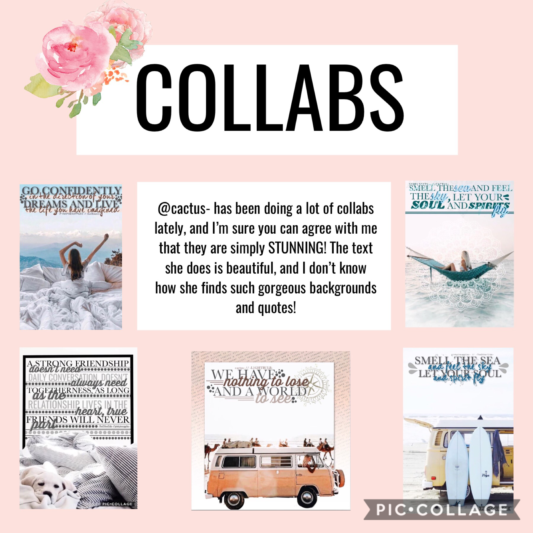 If you haven’t yet, I’d highly recommend collabing with her! If you don’t believe me, take a look at these amazing collages for proof that you should 💕