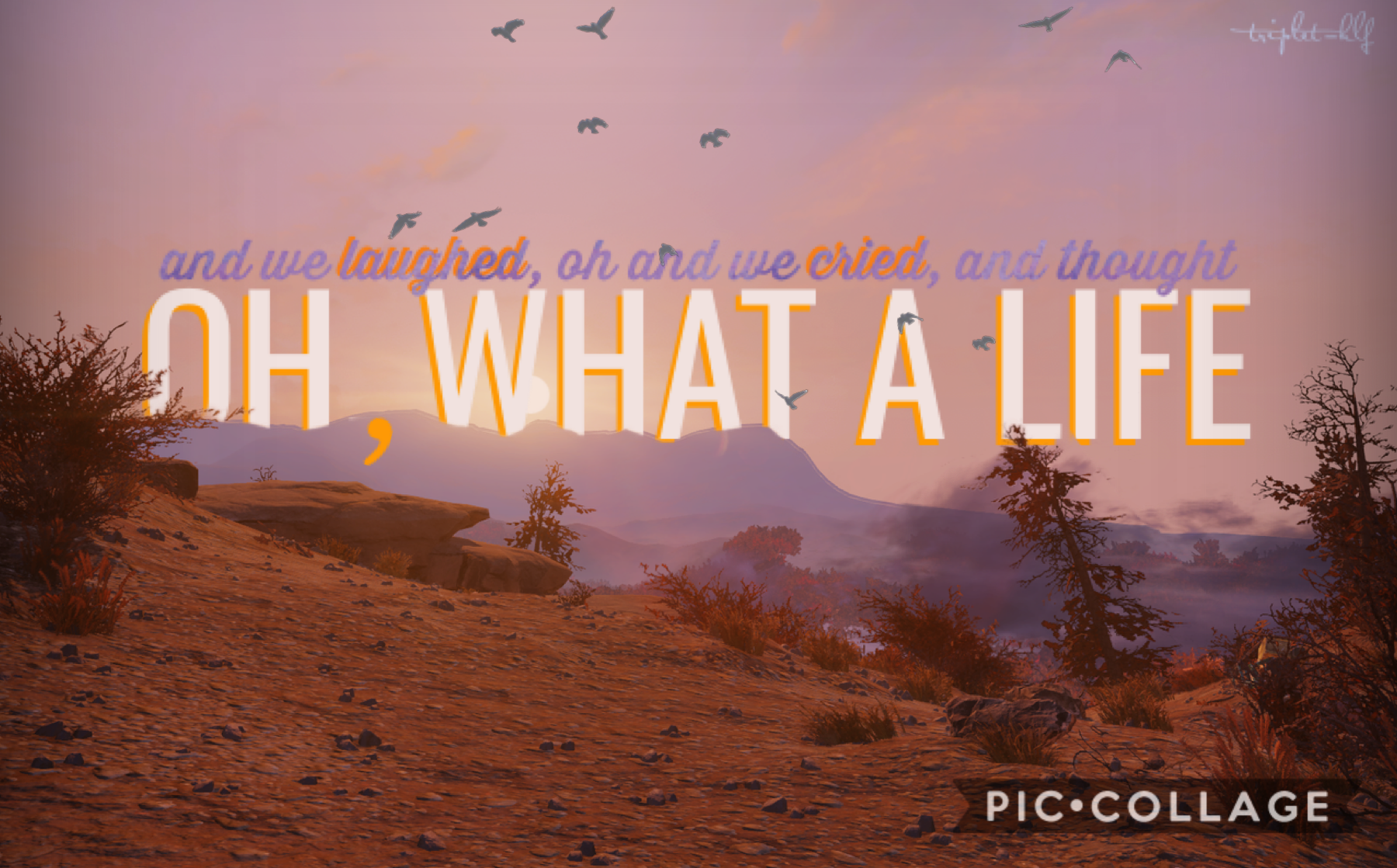 these past two days were very special for me, and nothing captures it more than the song Oh, What A Life by American Authors. 🧡 check comments for details ☺️ 