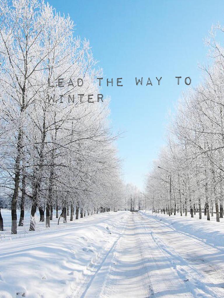 Lead the way to winter
