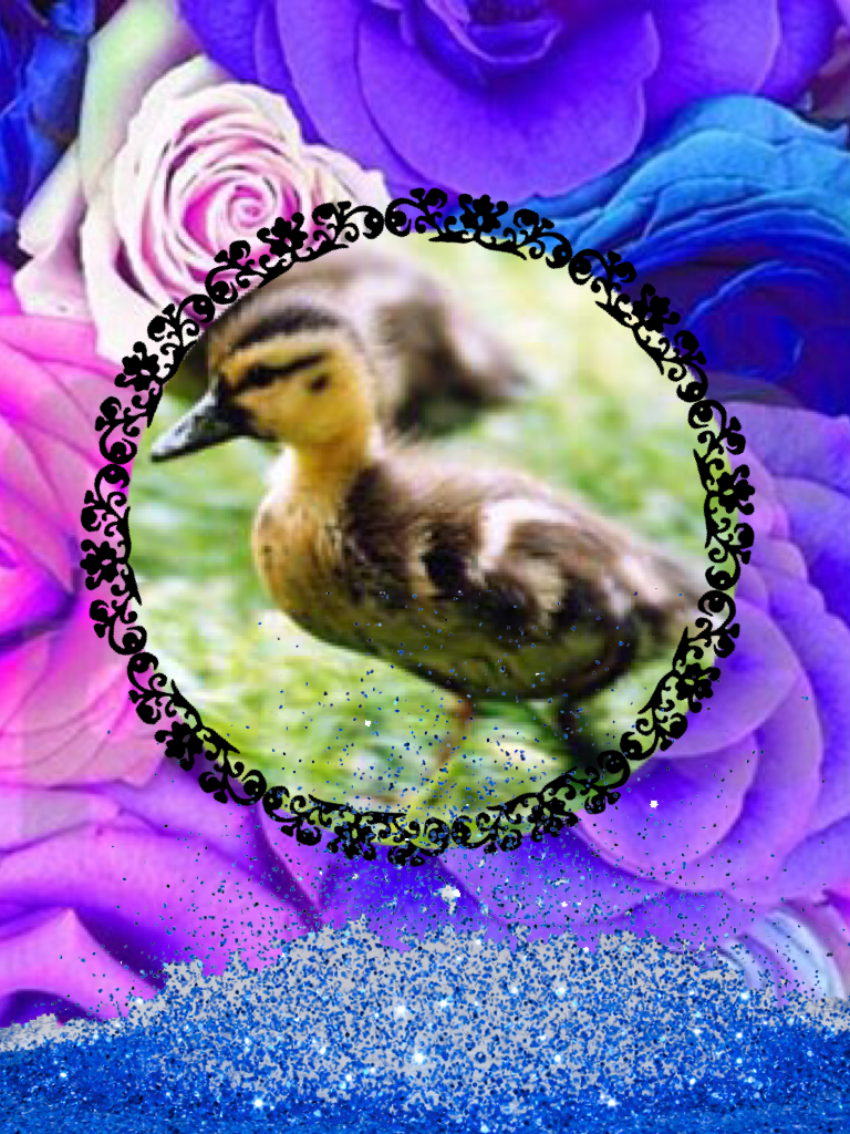 Icon for Duckie_thenextstep