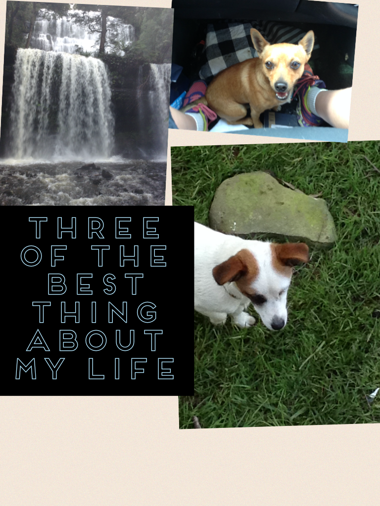 Three of the best thing about my life 