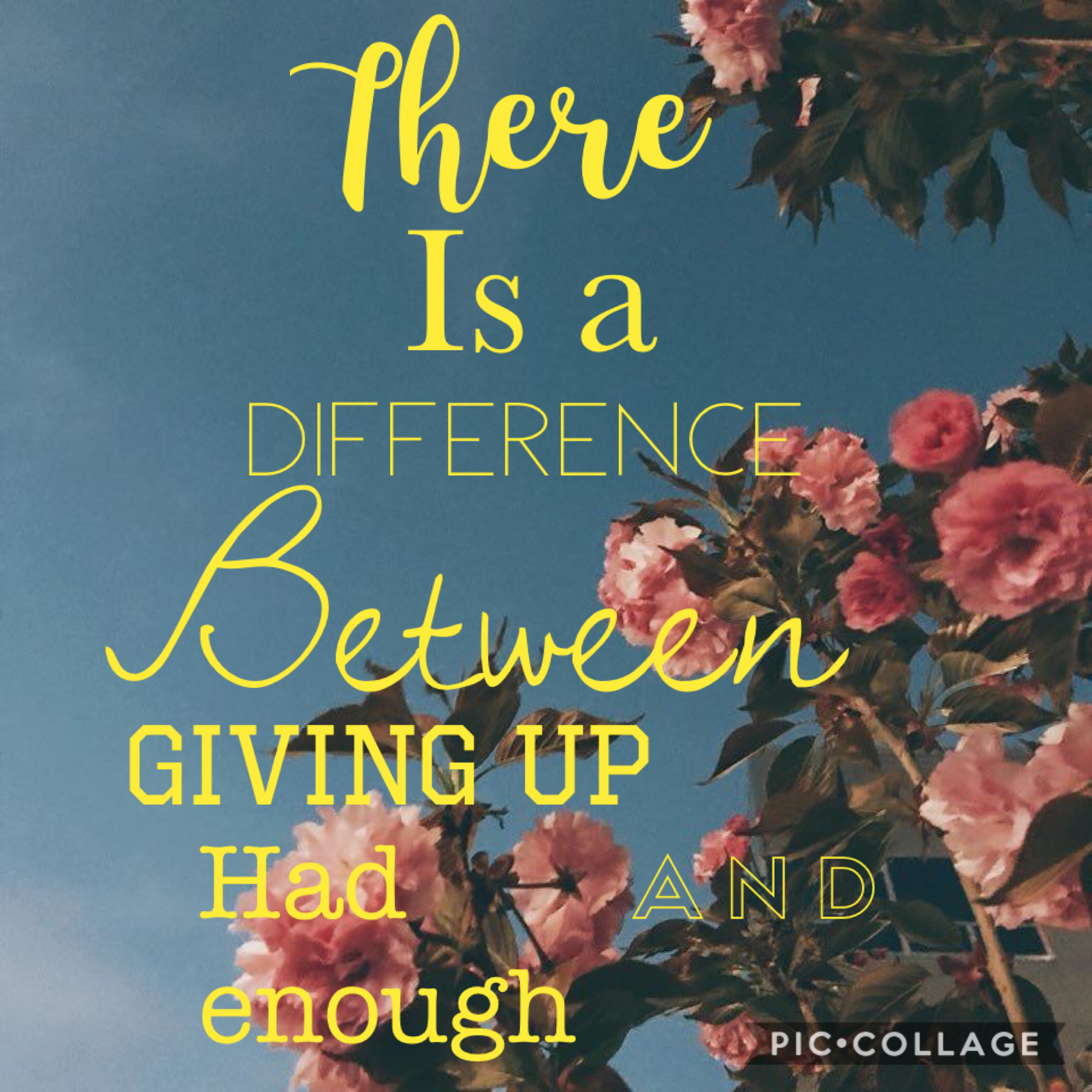 There is a difference between giving up and had enough🥰
